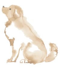 犬